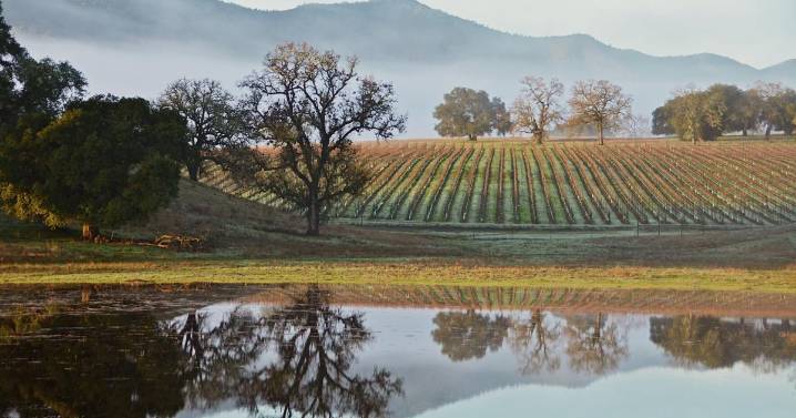 Los Padres ForestWatch launches Wine for Wilderness Passport, welcomes new communications director