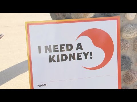 Charlotte Kidney Walk returns in November 2025: Here's what to know