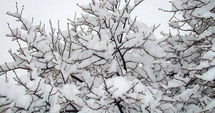 Snowstorm prompts 'Small Business Saturday v2' in Dane County