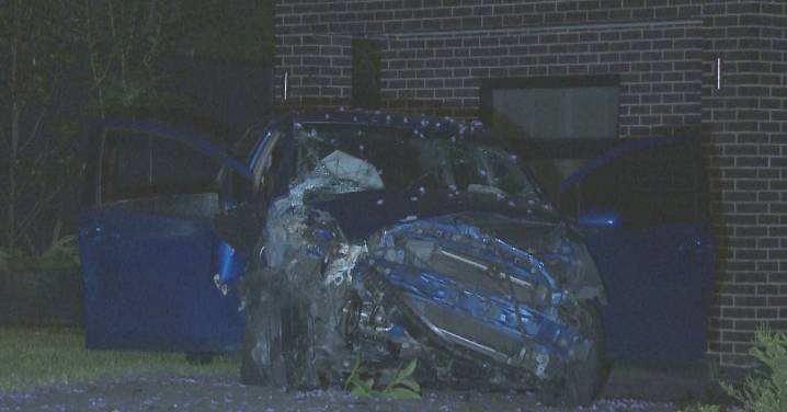 Sydney news: Police pursuit ends after car crashes into tree in Sydney's west
