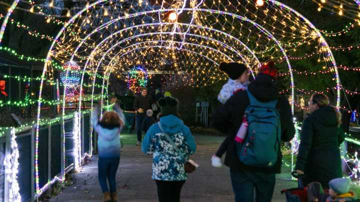 Potawatomi Zoo puts on The Gift of Lights show starting Nov. 28