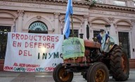 Yerbateros decidieron no cosechar en protesta a desregulaciones del gobierno de Milei