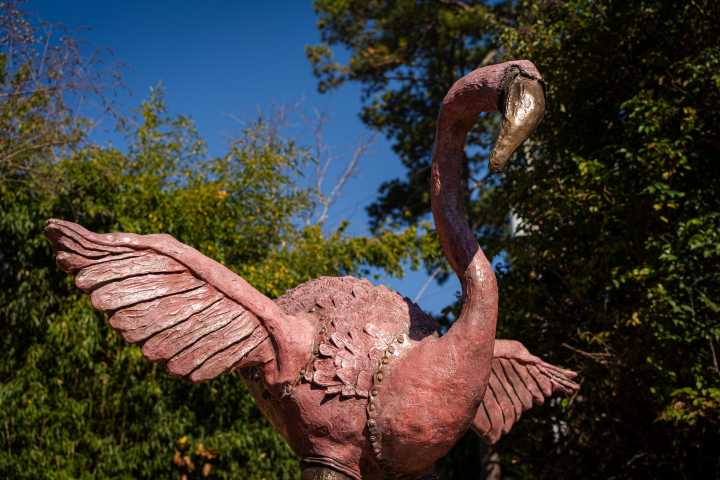 New seven-foot-tall bronze flamingo statue unveiled at Birmingham Zoo [Photos]