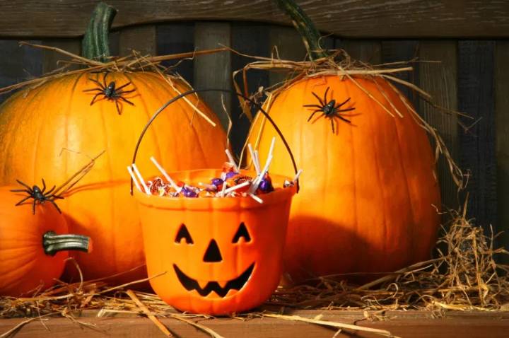 Halloween candy may have been tampered with, Regina police say