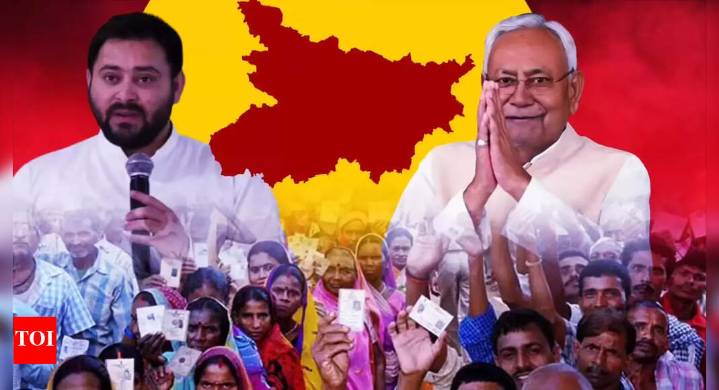 Bihar Election Results 2025: Top winners and losers