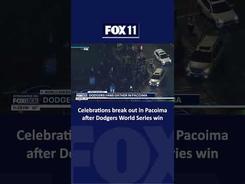 Los Angeles breaks out in celebration after Dodgers World Series win
