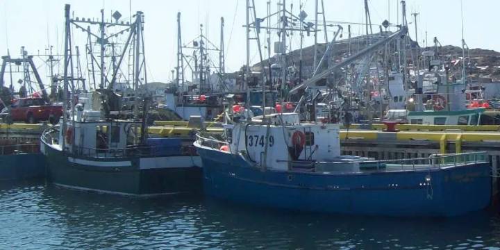 Marine Institute Conducting Study on Ways to Make Fishing Industry Safer