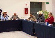 SADER cierra acuerdos directos con productores de trigo panificable de 6 estados entre ellos Tamaulipas