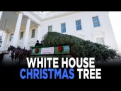 Melania Trump Welcomes White House Christmas Tree