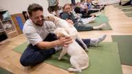 Puppy yoga classes are booming on Long Island