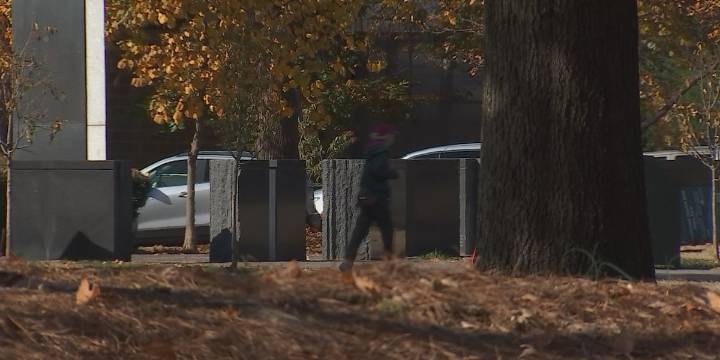 Couple chased by knife-wielding man at Bicentennial Park