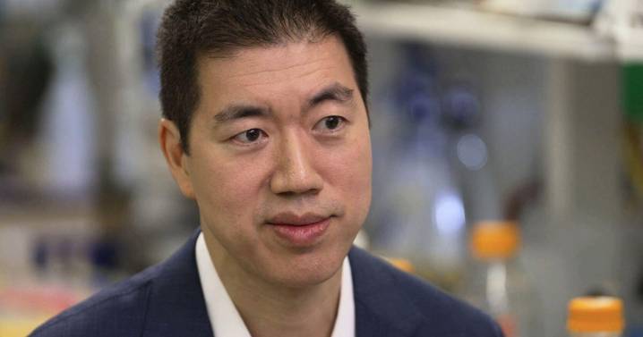 Potentially lifesaving advances at risk when federal funding to universities is cut, researchers say