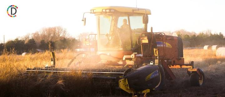 Sustaining Growth: Himachal's Dairy Development Drive