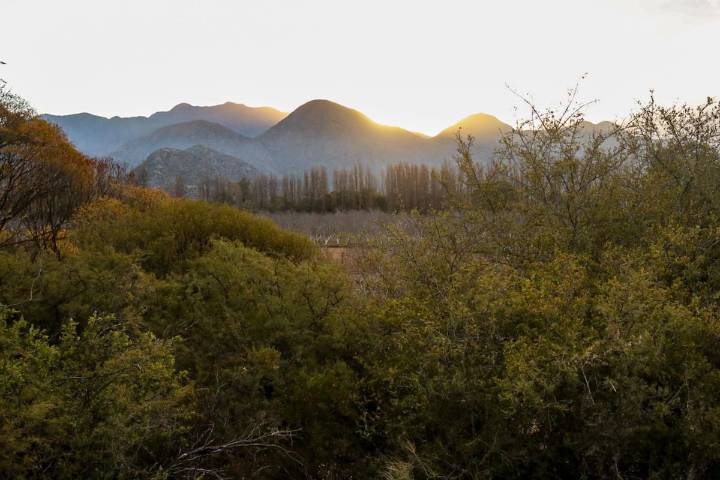 Tres sitios en el corazón de La Rioja para disfrutar sabores regionales y sentirse como un local más
