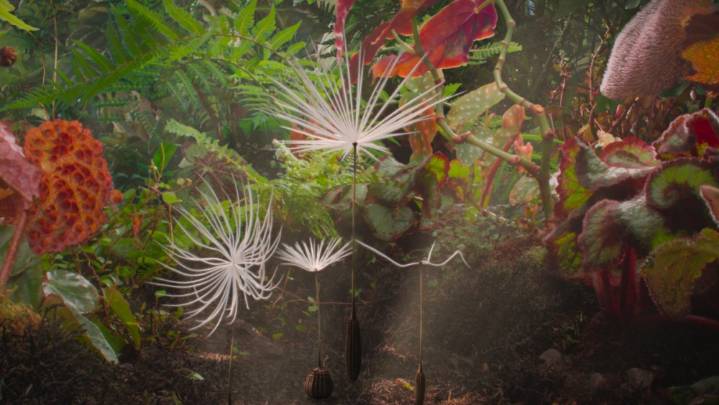 Seville Film Festival Integrates Animation Across its Lineup