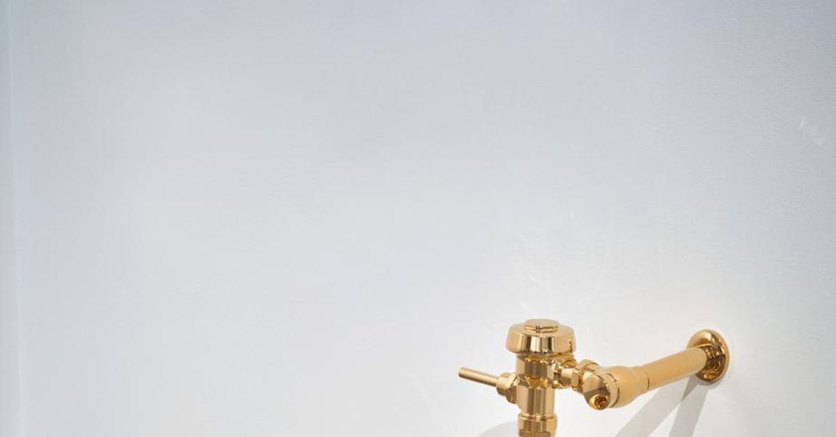 A subasta el wc más caro del mundo: la puja arranca en 10 millones de dólares