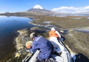 Intensa limpieza en el lago Chungará para evitar que avance el daño: Murieron 6 aves