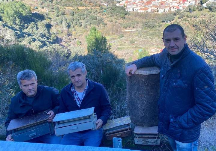 Así nació el cazapolen que revolucionó la apicultura española: «Se propuso producir para los franceses y cosecharon 1.300 kilos»