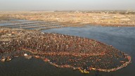 ‘1,800 trees will not be chopped for Nashik Kumbh Mela, we will undertake their transplantation,’ says Kumbh Mela commissioner