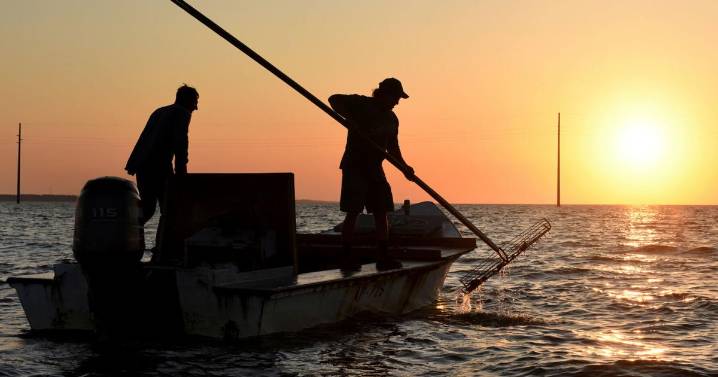 Florida to reopen bay nationally known for its oysters