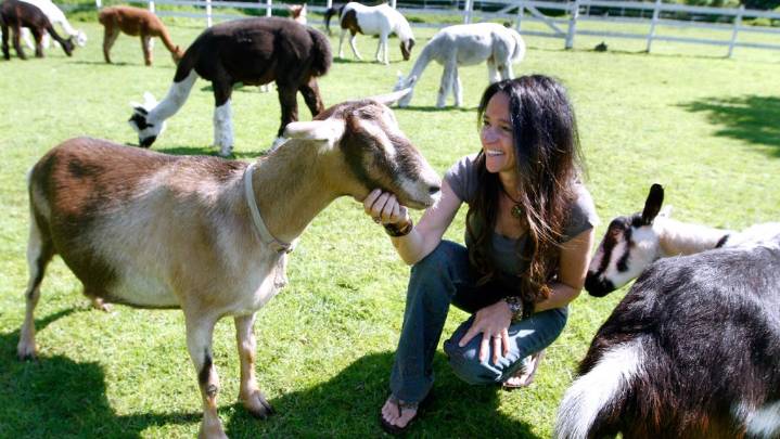 Around Newport County: Volunteers needed; West Place honored