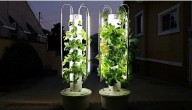 Transforming Home Gardening with the ALTO Garden GX Hydroponic Tower