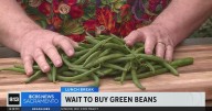 Why you should wait to buy green beans | Lunch Break with Michael Marks