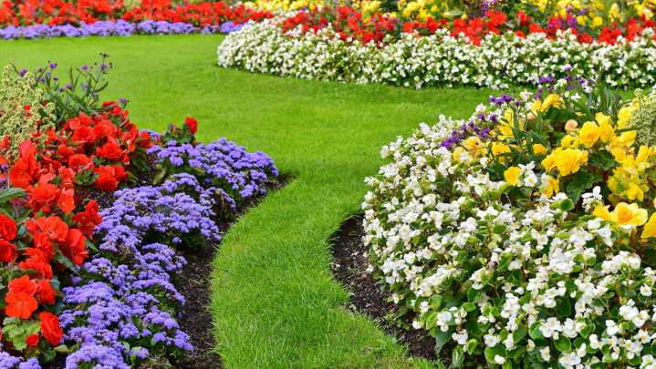 Use A Natural, Manual Barrier To Prevent Grass From Growing In Your Favorite Flower Bed