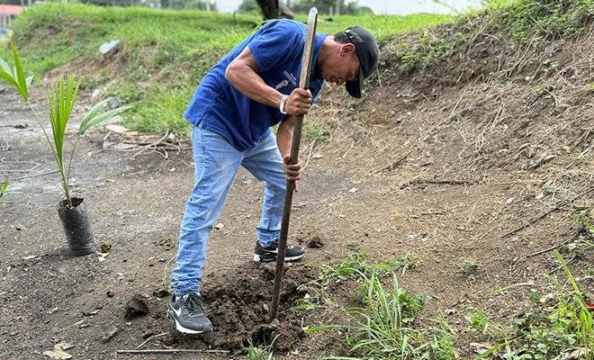 La Comuna 2 de Cali vive una nueva etapa: la comunidad la Alcaldía y habitantes en proceso de reintegración revitalizan el espacio