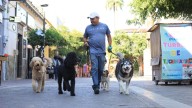 Organiza Tlaquepaque carrera a beneficio del cuidado animal