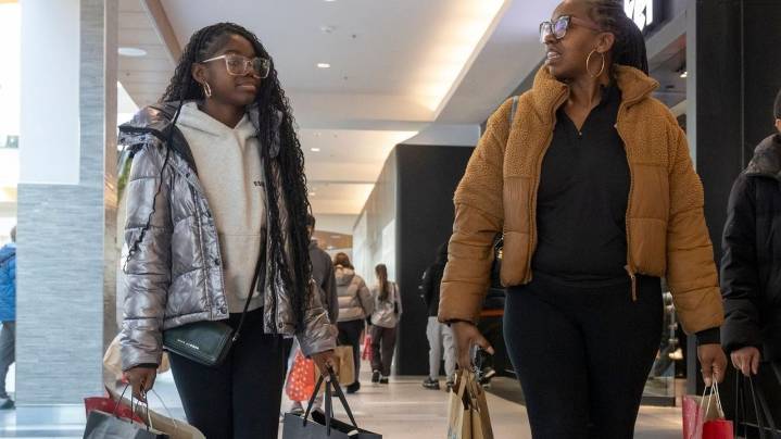 Black Friday shoppers on Long Island scour for sales