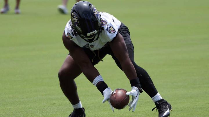 Ravens linebacker expected to land on season-ending IR after suffering injury vs. Bengals
