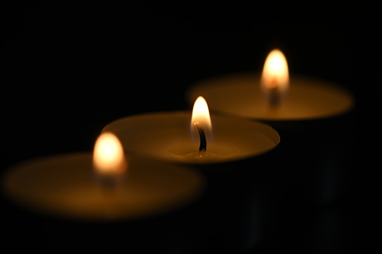 Netflix voice actor Tony Germano falls to death while visiting family in Brazil