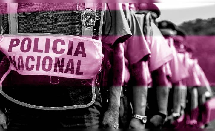 451 policías han sido denunciados por casos de violencia contra la mujer en 2025