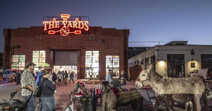 The burros are back in town: New Mexico Pack Burros win $10,000 at Adventure Pitch Fest