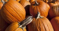 Thanksgiving events happening across the region