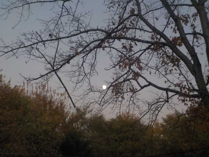 Heaven knows, it can be difficult to take a good photo of the sky: Whit & Whimsey