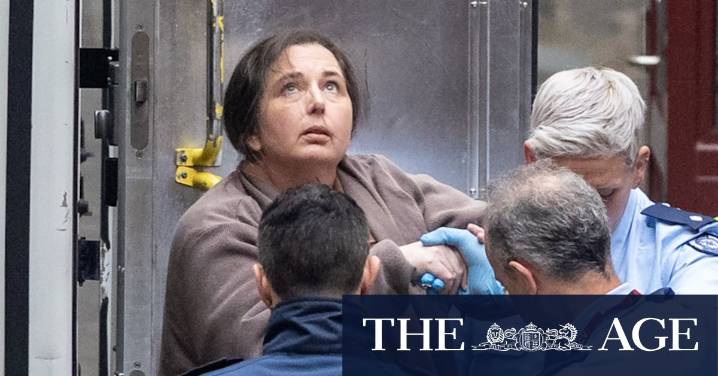 Erin Patterson mushroom murder appeal: Court gives permission for mushroom cook to appeal jury findings