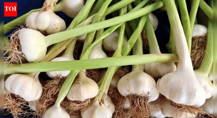 How to grow garlic indoors successfully for flavourful, nutritious bulbs and greens