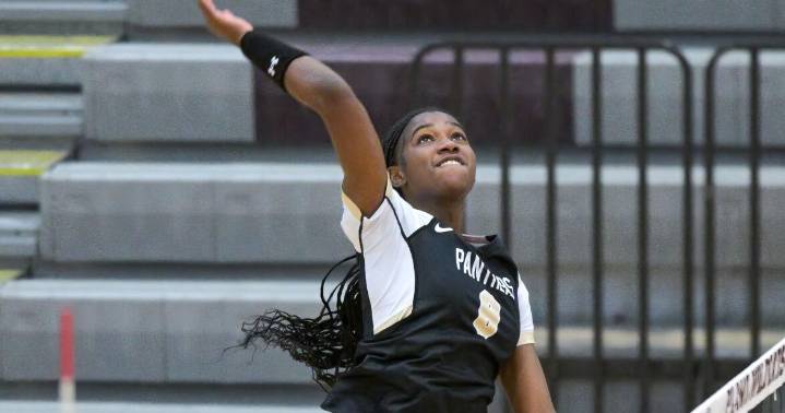 Local volleyball stars land AVCA All