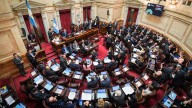 Sesión clave en la Cámara alta: juran 23 senadores, entre ellos Gerardo Zamora