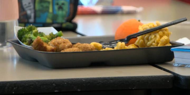 School meals still available amid government shutdown uncertainty, reminds Bulloch Co. School District