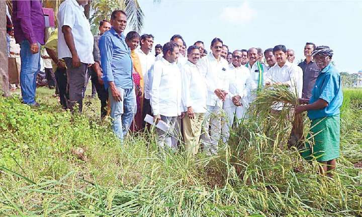 Officials told to be liberal in assessing crop losses