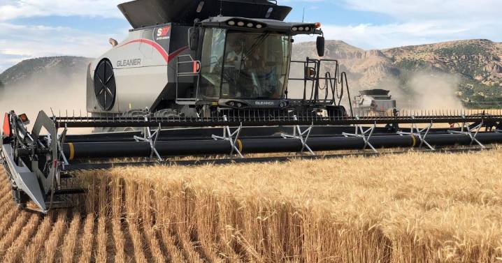 Commodity prices hurt Idaho growers