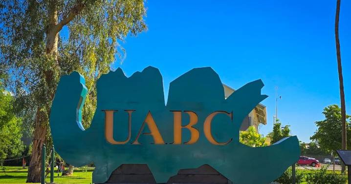 Abre UABC convocatoria de acreditación o equivalencia