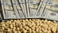 La soja retrocede casi 1% en Chicago tras alcanzar máximos de 16 meses