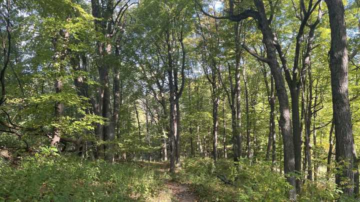 My experience completing the Ice Age Trail Mammoth Hike…