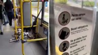 VIDEO | Conductor de Transmilenio detuvo su ruta para expulsar a pasajeros que iban con mascotas