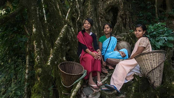 When women own homes, health follows: study reveals why matriliny keeps Meghalaya strong