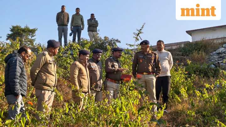 Uttarakhand: Over 160 gelatin sticks recovered near school in Almora